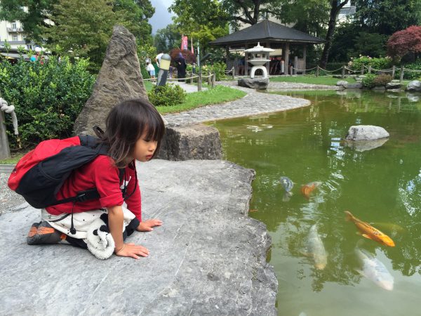3年前から娘のお気に入りなのが【友好の庭】の鯉。自分の方によって来る！と大はしゃぎ。