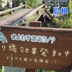 【YouTube動画】島根・玉湯川の木橋が公開40分後に100アクセス記録した謎